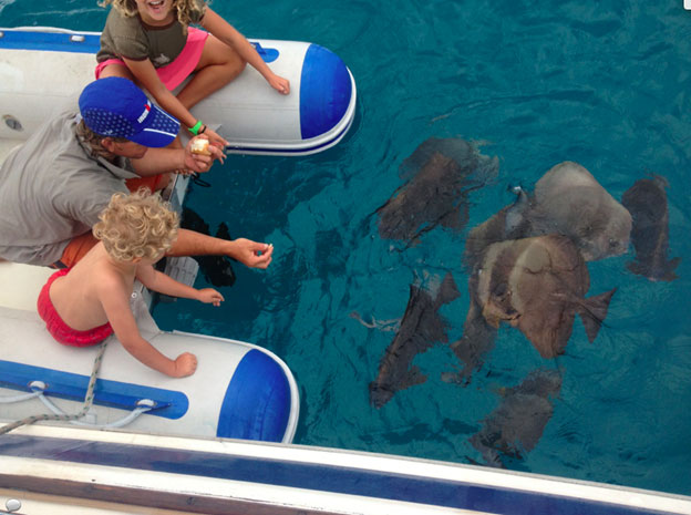 feeding fish from dinghy