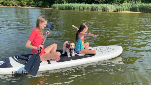 boat dog paddling