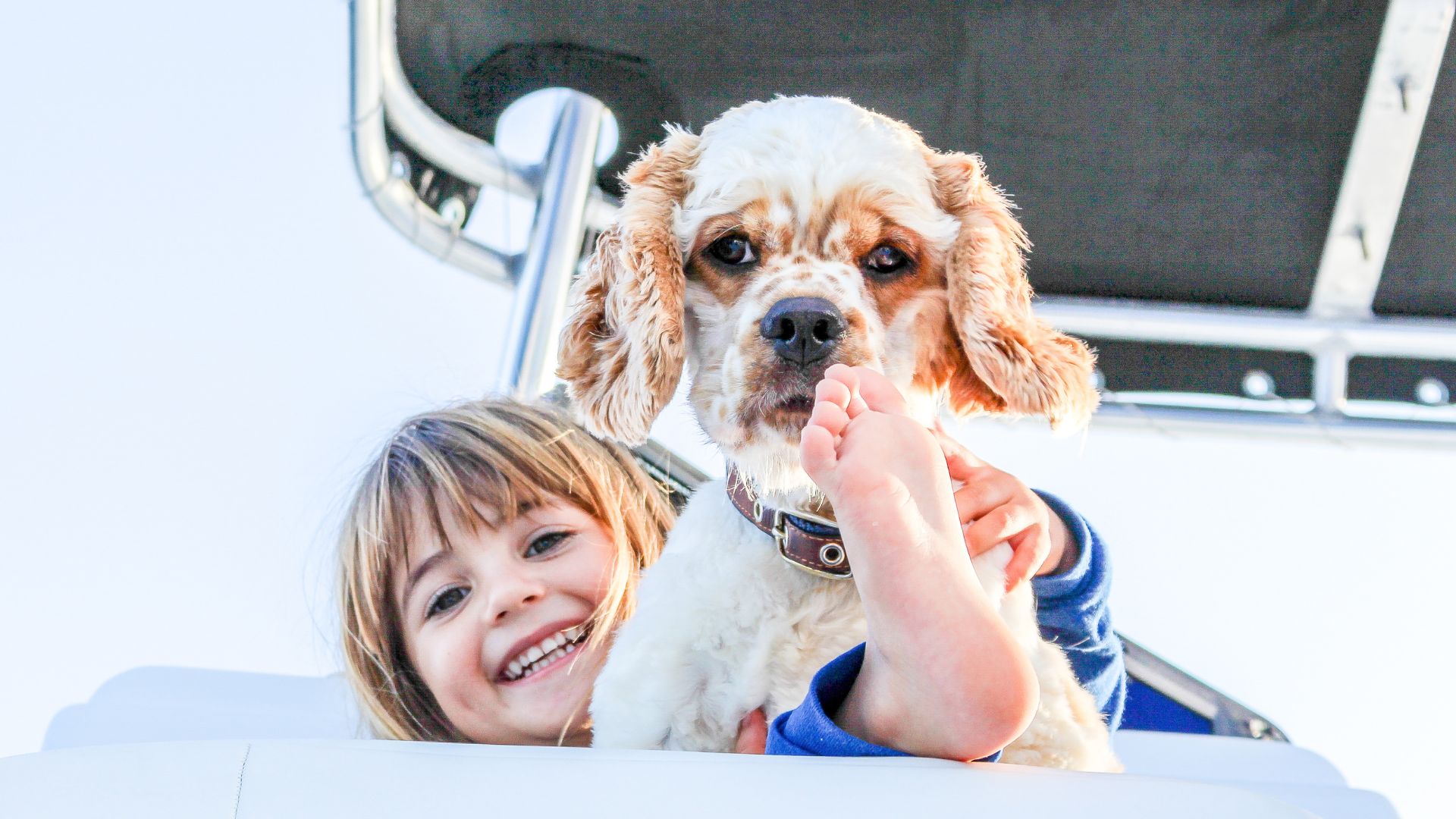 boat kids dog